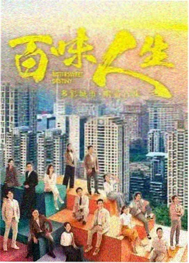 都市悬疑剧集雾港回声封面