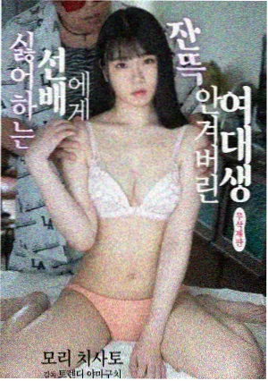 自然纪录片山河夜航封面